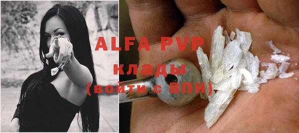 прущие грибы Абаза