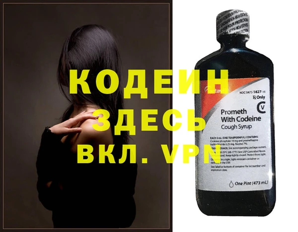 прущие грибы Абаза