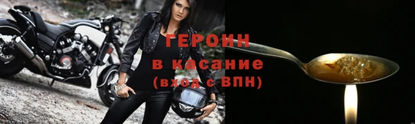 прущие грибы Абаза
