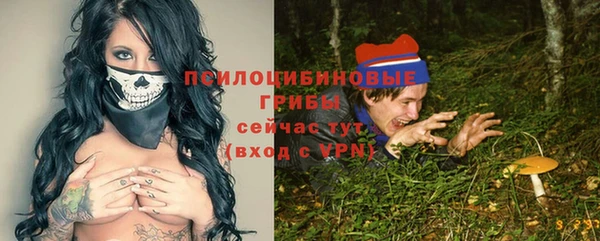 гидра Алзамай