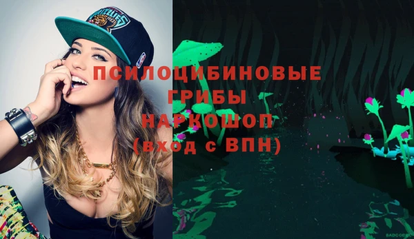 прущие грибы Абаза