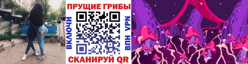 закладки  Иваново  Галлюциногенные грибы Cubensis 